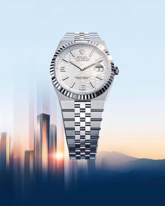 Role_x Land Dweller Automatic